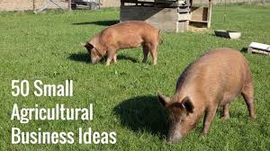 50 Small Agricultural Business Ideas Small Business Trends Business Trends Agriculture Business Small Business Trends