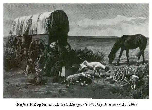Buffalo Bone Commerce On The Northern Plains - All About Bison