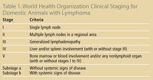 A veterinary oncology specialist can help you choose a canine lymphoma treatment plan for your dog and can work with your normal veterinarian to ensure the best possible care is provided for your loved one during this difficult time. Lymphoma In Dogs Diagnosis Treatment Clinician S Brief