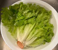 抖音健身網紅小兆網站列表- 情色網站大全