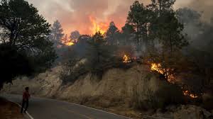 El humo y el cielo naranja sobre una ruta cerca de greenville, california. Es Una De Las Peores Temporadas De Incendios Forestales Conafor