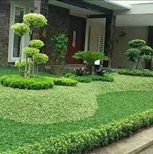 Jasa pembuatan taman bandung murah! Tukang Taman Murah Menjual Bermacam Macam Rumput Hias Dan Tanaman Hias Konstruksi Dan Taman 773163191