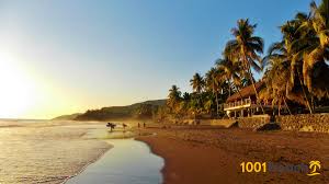 Jun 14, 2021 · por tom wilson. Playa El Zonte El Zonte Beach