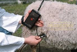 The accurate and early pregnancy detection plays a vital role in efficient breeding management for higher returns. Draminski Sheep Goat Pregnancy Detector Photon Surgical Systems Ltd