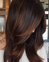 25 Beautiful Dark Brown Hair With Highlights Ideas Chestnut Hair Chestnut Hair Color Dark Hair With Highlights