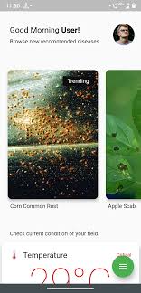 Image processing toolbox apps let you automate common image processing workflows. A Flutter App For Farmers Which Integrates Iot And Deep Learning Dev Community