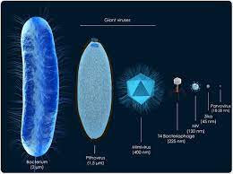 We know that 1 meter = 1*10^9 nanometers, meaning that for every one meter is also 1*10. The Size Of Sars Cov 2 And Its Implications