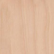 Wood Finder The Wood Database Wood Birch Wood Shop