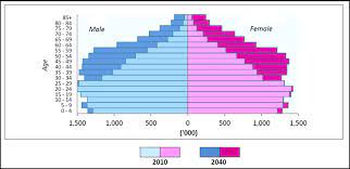 Malaysia, department of statistics malaysia, 2000 population and housing census. Malaysia S Population Pyramid 2010 And 2040 Department Of Statistics Download Scientific Diagram