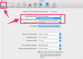 Select the erase private data tab and click scan. How To Clear History On Mac Safari Chrome Firefox Beginner S Guide