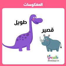 تعليم المتضادات للاطفال Pdf وسائل تعليمية حديثة بالصور بالعربي نتعلم Islamic Art Pattern Pattern Art Dinosaur Stuffed Animal