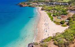 Image result