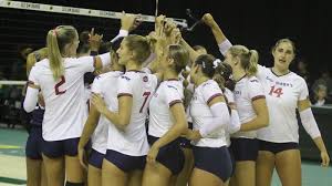 Image result for Kleinia garciana