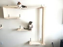 It does that because it is listening. Cat Wall Shelves Ideas Home Inspirations
