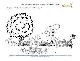 Where Do Fruits And Veggies Grow On Trees On Bushes On Vines And Even Underground Fruit Plants Childrens Gardening Vegetables