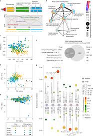 It occupies less visual space in your home. Plant Flavones Enrich Rhizosphere Oxalobacteraceae To Improve Maize Performance Under Nitrogen Deprivation Nature Plants