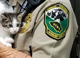 Gayle anderson was live in pasadena at the pasadena humane society and spca for the 3rd annual free pet adoption day from 9:00 a.m. Animal Control Howard County