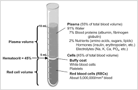 Image result for Blood Volume