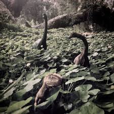 Resultado de imagen de animal invisible alborés