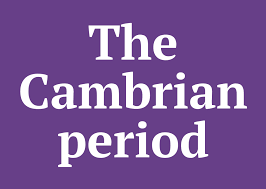 Amethyst dojo new player challenges 20,000 points! Smarty Pants General Knowledge Quiz