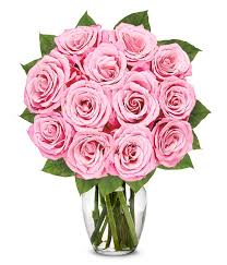 A rose is a woody perennial flowering plant of the genus rosa, in the family rosaceae, or the flower it bears. One Dozen Light Pink Roses At From You Flowers