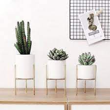 1,717 ceramic cactus home decor products are offered for sale by suppliers on alibaba.com, of which flower pots you can also choose from home decoration, art & collectible ceramic cactus home decor, as well as from iron ceramic. Aesthetic Ceramic Planters 3pc Set Onyx Better Homes Ceramic Flower Pots Flower Pots Flower Pot Holder