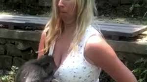 Cheeky monkeys is exceptional here is why: Moment Very Cheeky Monkey Peers Down Woman S Top And Tries To Undo Her Shorts Ladbible