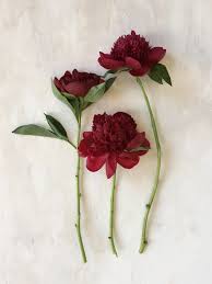 Wedding flower ordering made easy. Burgundy Peony Evergreen Flowers Flower Photos Love Flowers