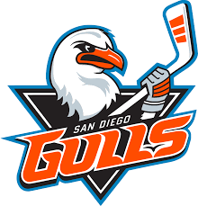 Get to know joël bouchard. Anaheim Ducks Name Joel Bouchard San Diego Gulls Head Coach Oursports Central