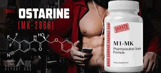0:19 ostarine results 1:06 first lifting compilation 2:03 what is ostarine? Ostarine Mk2866 The Ultimate Guide For Beginners