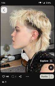 ❗️ATTENTION HAIRDRESSERS❗️ I am looking for a hairdresser in the  Denton/Corinth/Highland Village area who would be able to cut a mullet for  me. Here are some pictures of what I am looking