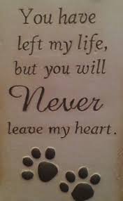 Tom On Twitter Dog Quotes Pet Loss Grief Pet Remembrance