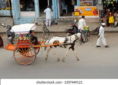 Pandharpur Maharashtra India August 3 2009 Stock Photo 1207449121 | Shutterstock