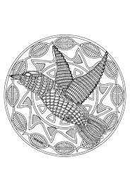 Flevokids heeft meer dan 2925 kleurplaten en mandala kleurplaten maar ook knutselen strijkkralen puzzels en nog veel meer voor peuters kleuters. Mandala Dieren Kleurplaten Dieren