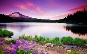 Riverdale Southside Serpents Background Hd Wallpaper Landscape Pictures Hd Nature Wallpapers Nature Desktop