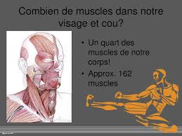 Attention il s'agit ici du chocolat noir le plus pur que vous pouvez manger. Ppt Les Muscles Powerpoint Presentation Free Download Id 5622236