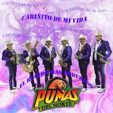 Jun 17, 2021 · para competir en julio juan martín gonzález se suma al plantel de los pumas en reemplazo de tomás lezana. Los Pumas Del Norte