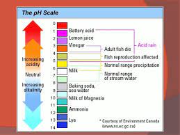 Abiotic Factor Acidity And Alkalinity Base Acidity Extra Hydrogen H Ions Very Reactive Lemon Juice And Vinegar Alkalinity Base Extra Hydroxyl Ppt Download