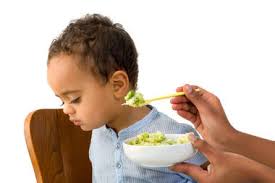 I've been there and i struggle with my two picky eaters daily!. How To Handle Picky Eaters Zero To Three