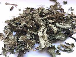 Do Tea Leaves Have To Be Dried Reasons And The Alternative Teasteeping