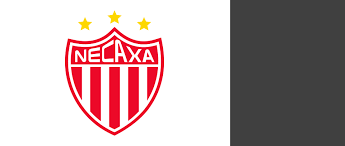 Maybe you would like to learn more about one of these? Necaxa Logos