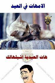 نيوووو لاء arabic funny funny quotes for instagram funny