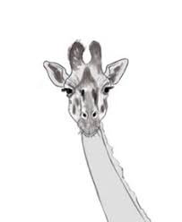 We did not find results for: Comment Dessiner Une Girafe