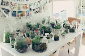Terrarium pastinya bisa jadi pilihan dekorasi rumah yang modern dan estetik buat kamu. Ingin Punya Kebun Mini Sendiri Buat Saja Dengan Gelas Dan Toples Bekas Ini