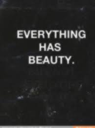 Take A Closer Look Beautiful Quotes Wise Words Quotes To Live By