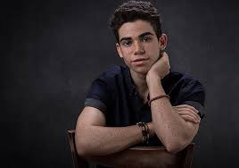 All of the profits will go to epilepsy research. Aftermath Of Cameron Boyce S Death The Parents Sister Family He Left Behind