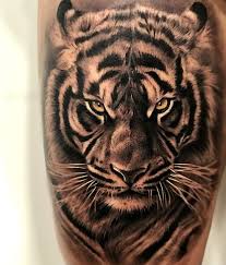T Tattoo Tatuaje Ink Love Animal Animals Tiger Boy Man Malaga Spain Espana Tattoosformen Tiger Tattoo Design Tiger Tattoo Tiger Tattoo Sleeve