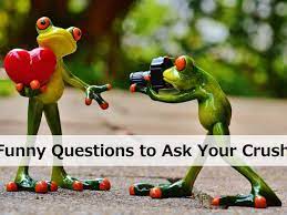 There are some crush steamroller jokes no one knows ( to tell your friends) and to make you laugh out loud. 100 Funny Questions To Ask Your Crush Pairedlife
