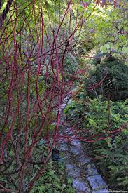 Le Jardin Du Petit Bordeaux Dans La Sarthe Jardins Amenagement Jardin Detente Jardin