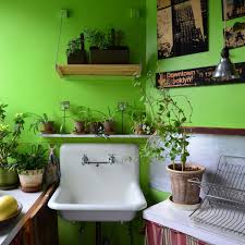 room for plants in the kitchen